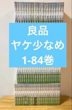 2025年最新】風の大地全巻の人気アイテム - メルカリ