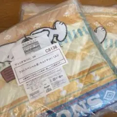 Item thumbnail for item 72b3b717-cca9-4282-b041-8e238ef6de6a