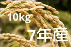 新潟産こしいぶき10kgのサムネイル