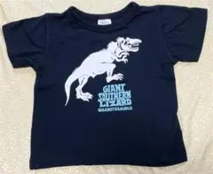 FARM 恐竜　黒半袖Tシャツ　110㎝のサムネイル