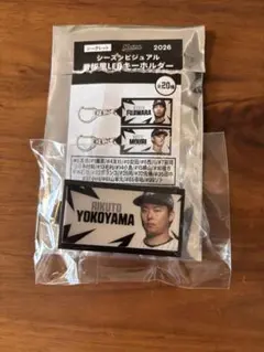 千葉ロッテマリーンズ 横山陸人 シーズンビジュアル 看板風LEDキーホルダーのサムネイル