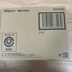 S.H.Figuarts サム　崩壊：スターレイル