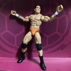 ブルーザー・ブロディ プロレスフィギュア WWE WWF - メルカリ