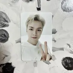 バーノン ゴセマガジン トレカ