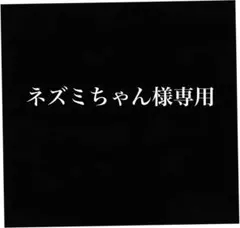 ネズミちゃん様専用　宮古島産　アップルマンゴー　20キロ