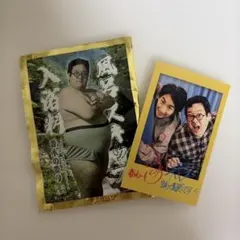 2026年最新】春とヒコーキの人気アイテム - メルカリ