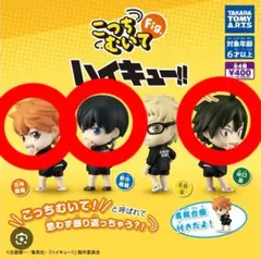 ハイキュー！ こっちむいて ガチャ 3個セット
