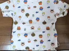 Item thumbnail for item 177ba7cb-cf9f-4a41-9757-a4d08b7705ea