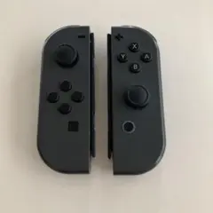 Nintendo Switch Joy-Con グレー 純正