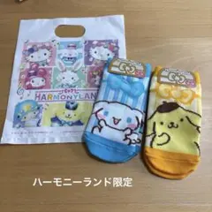 【ハーモニーランド 】キッズ靴下 2足セット