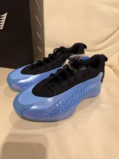 新品未使用 adidas ANTHONY EDWARDS 1 LOWのサムネイル