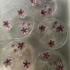 2026年最新】スガハラ カメリアの人気アイテム - メルカリ