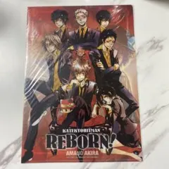 家庭教師ヒットマンREBORN! リボーン クリアファイル　 2011