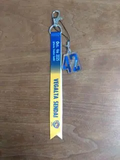 RB大宮アルディージャ マッチデーボンフィン