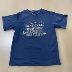 RAYNAUD ヒストリーナチュール　ブラウンバード22cm 6枚セット　箱付 楽天市場】チューバ（Tuba) 1/12サイズ : サンライズサウンドハウス