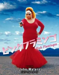 希少 新品未開封 ピンク フラミンゴ PINK FLAMINGO