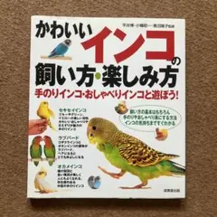 かわいいインコの飼い方・楽しみ方