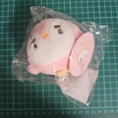 EXO ソウルコン D.O. ピングィニ ぬいぐるみ MD ディオ ギョンス