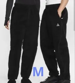 Item thumbnail for item 8f6a040f-278f-44d0-8a9d-8ef911da56c9