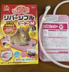 【新品美品】　モナグスタ　リングメモ 文房具 メモ帳 ミニ ねこ