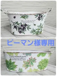 ピーマン様専用　リメイク缶　２種類