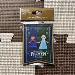 ディズニー　アナと雪の女王　ワッペン　アナ　エルサ