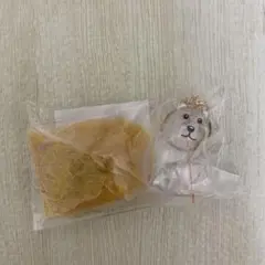 いつもわんちゃんと一緒　おでかけ毛入れキーホルダー　キーホルダー