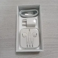 iPhone se 第1世代　Apple 純正付属品