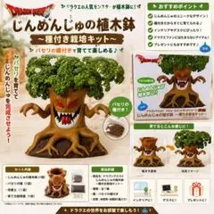 【新品未開封】ドラゴンクエスト じんめんじゅの植木鉢 栽培キット レアのサムネイル