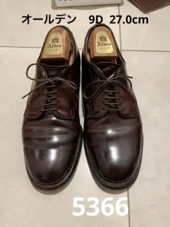 2025年最新】オールデン 5366の人気アイテム - メルカリ