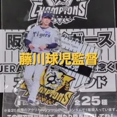 阪神タイガース 藤川球児 2025 セ・リーグ優勝記念くじ アクリルスタンド