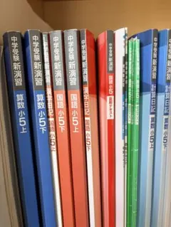 新品未使用】ベネッセ進研模試 2022年度科目別総集編／【英語国語