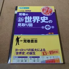 荒巻の(新)世界史の見取り図 : 大学受験世界史 中巻