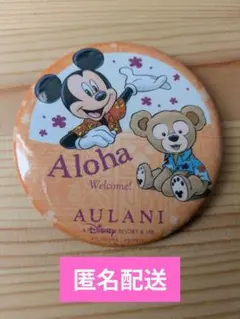 2025年アウラニ限定品！非売品 AULANI ミッキー ダッフィー 缶バッジ 2025年アウラニ限定品！非売品 AULANI ミッキー ダッフィー 缶バッジ