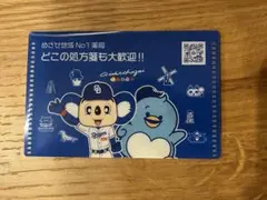 マイナンバーカードケース　中日ドラゴンズ　ドアラ