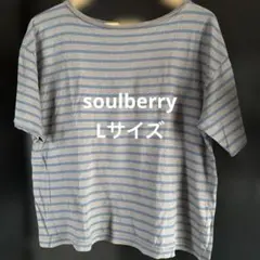 soulberry くすみボーダーのカットソー Ｌサイズのサムネイル