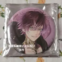 ある日、お姫様になってしまった件について ある姫 ルーカス 缶バッジ