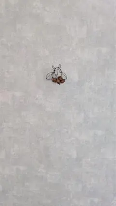 rinta1004様 リクエスト 2点 まとめ商品