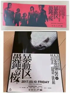 the GazettE 15周年記念公演 愚鈍の桜 パンフレット＋チケット付き the GazettE、