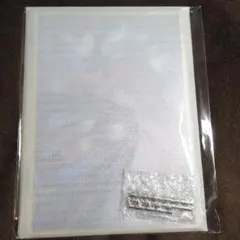 鬼滅の刃WEB SHOPくじA賞ビッグレイヤードアクリルパネル猗窩座