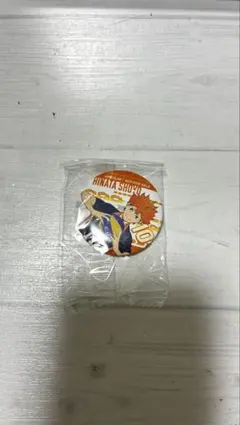 日向翔陽 ピンバッジ