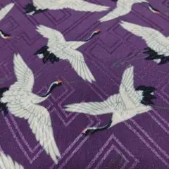 Item thumbnail for item 8a0935d3-9dfc-4db2-bd17-8e4df7407f93