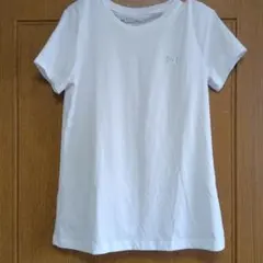 Item thumbnail for item 24417d26-0025-40a5-b782-35e58dc0580e