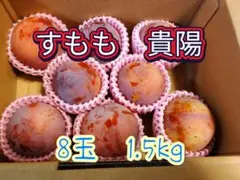 山梨県産【貴陽すもも】希少品種 LL大玉20玉入【訳あり】クール便