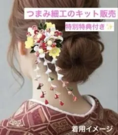 Item thumbnail for item ed8753a0-4a50-4495-9d99-8a32626366bb