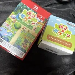 switch2ぽこあポケモン木製 メタモンプレート 約15cm ぽこぽけ特典