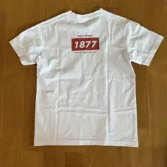 HELLY HANSEN レディース半袖Tシャツ　Mサイズ　バッグプリント