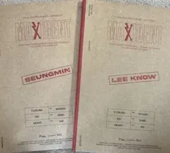 straykids スキズ MAXIDENT リノ スンミン セット