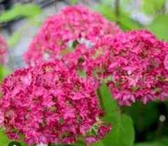 ゆめママ様 リクエスト 3点 まとめ商品