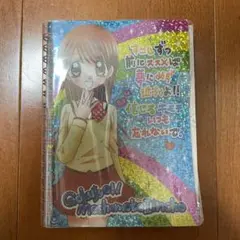 【平成レトロ】ちゃお付録 めちゃモテ委員長 シール帳のサムネイル
